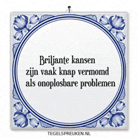 Humor Nl GIF by Tegelspreuken.nl