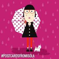 postcardsfromisola dog style rain umbrella GIF