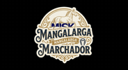 Mangalarga Marchador GIF by Haras Misk