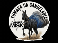 Mangalarga Marchador GIF by Haras Misk