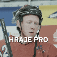 Hokej Radost GIF by Seznam.cz