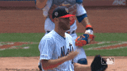 Ny Mets Sport GIF by New York Mets