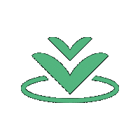seedforward seedforward Sticker