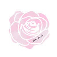 fashion achieve Sticker by DVAMag.com