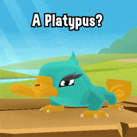 Perry The Platypus Mystery GIF by Animal Jam