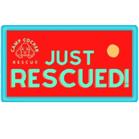 Rescue Dog Sticker by Camp Cocker Rescue