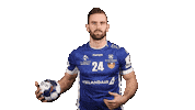 Sport Handball Sticker by EHF