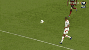 See Ya Football GIF by Hyundai A-League
