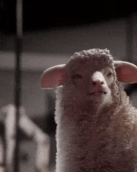 Puppy Bee GIF by 11 bit studios