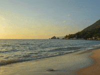 Unternehmen Franchise Filter GIF by FranchiseONE.de