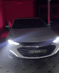 S1 C1 GIF