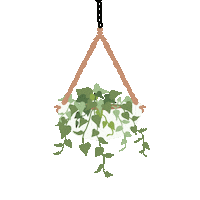 mikalynpaige plant planter pothos hanging plant Sticker