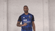 Happy Soccer GIF by San Jose Earthquakes