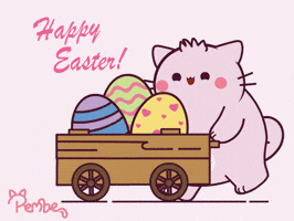 Easter Bunny Cat GIF by Pembe