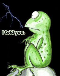 I Told You Omg GIF