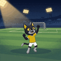 Lets Go Omg GIF by CATBAT