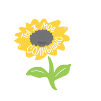 Flower Plants Sticker by Laimon Fresh