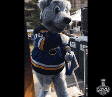 ice hockey sport GIF by NHL