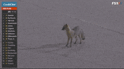 Racing Motorsports GIF by NASCAR