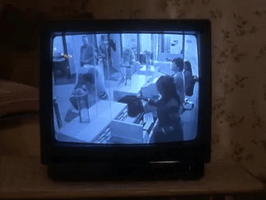 the mystery files of shelby woo nicksplat GIF