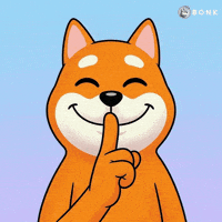 Close-Up Face GIF by BONK