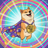Happy Shiba Inu GIF by Doge Pound