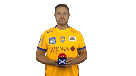 Time Out Handball Sticker by LIQUI MOLY HBL
