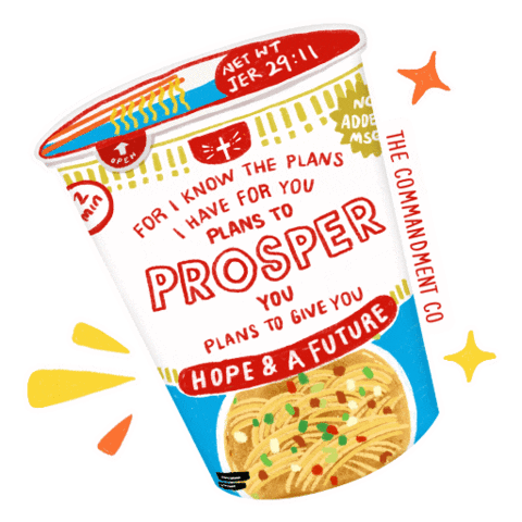thecommandmentco future hope plan prosper Sticker