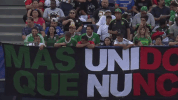 aficion GIF by MiSelecciónMX