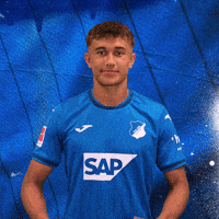 Sport Bundesliga GIF by TSG Hoffenheim