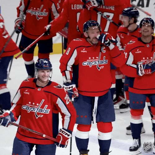 Happy Ice Hockey GIF by NHL