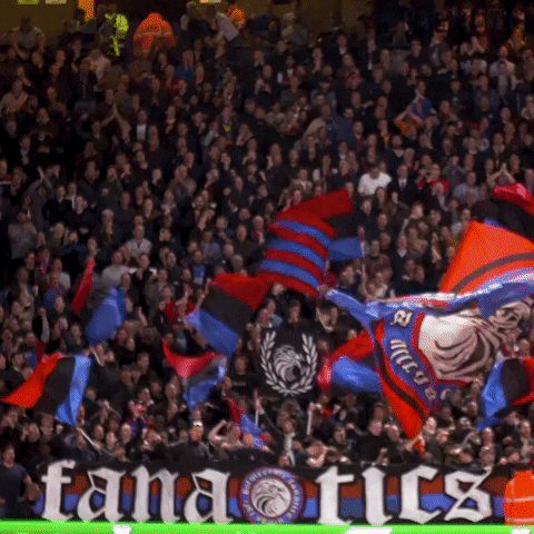 Crystal Palace Football GIF by CPFC
