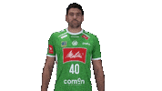 Handball Gwdminden Sticker by GWD Minden Handball-Bundesliga GmbH & Co.KG