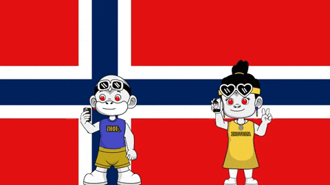 Northern Lights Flag GIF by Zhotcita