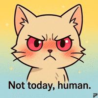 Frustrated Fed Up GIF by Persona