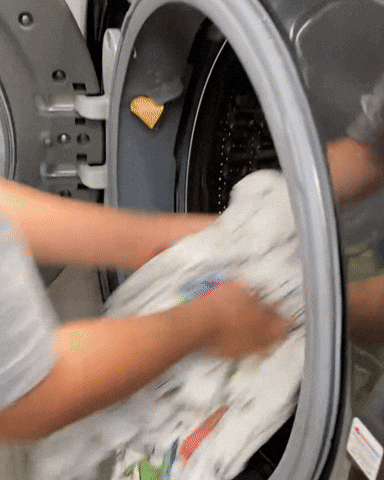 Panamia giphyupload GIF