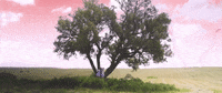 Music Video Dancing GIF by Netta