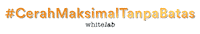 Serum Niacinamide Sticker by whitelab