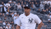 Excited New York Yankees GIF by YES Network