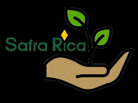 Safrarica safrarica safra rica cultive essa ideia GIF