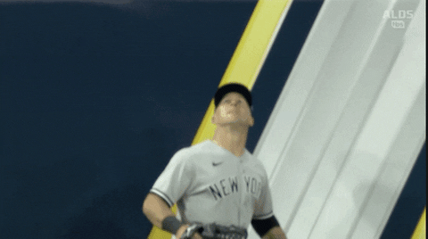 New York Yankees Catch GIF by Jomboy Media