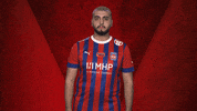 Hdh GIF by Bundesliga
