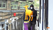Orange Moving GIF by The Goat Agency