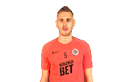 football soccer Sticker by 1. fotbalová liga