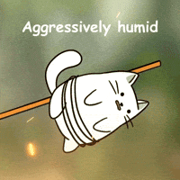 Air Quality Heatwave GIF by MESA My Emotional Support Animal
