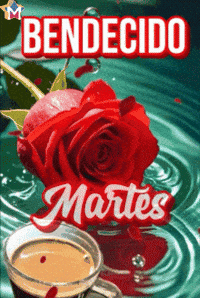 Sol Amigos GIF by Murcianys LLC