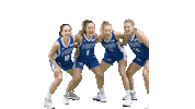 Sport Basketball Sticker by Basket_fi