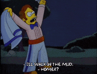 homer simpson episode 3 GIF