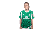 Julia Werderfrauen Sticker by SV Werder Bremen