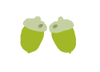 Botanopia_ green acorn acorns botanopia Sticker